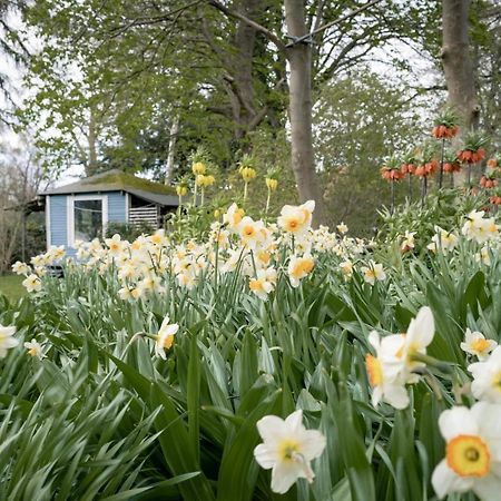 Ferienwohnung Gartenidyll Insel Rügen Poppelvitz bei Altefähr Exterior foto