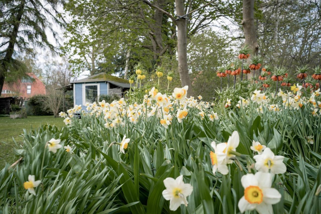 Ferienwohnung Gartenidyll Insel Rügen Poppelvitz bei Altefähr Exterior foto